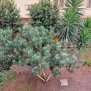 Appartamento Casa Rosi, Roma
